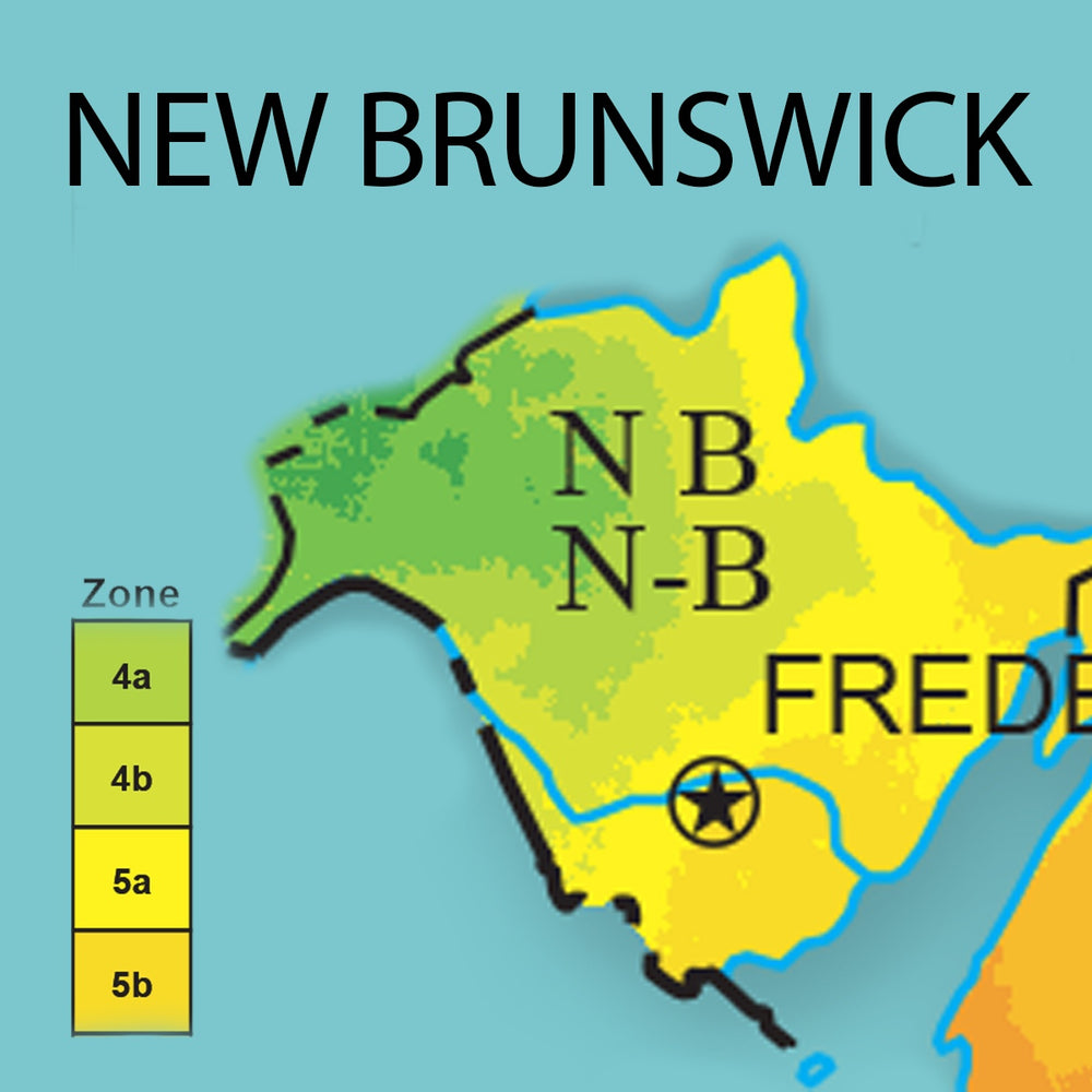 New Brunswick