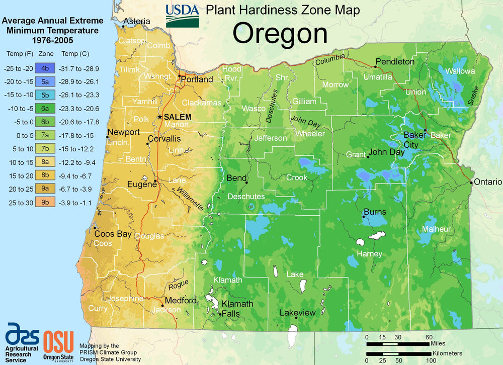 Oregon