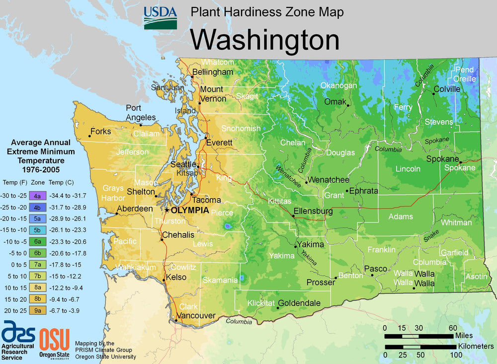 Washington