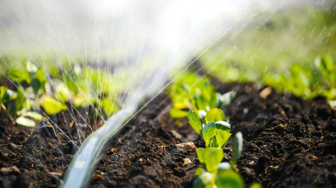 How to Choose the Right Irrigation: Boost Crop Yield