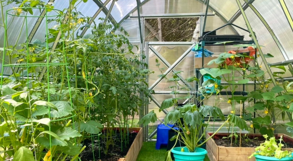 Le potentiel est incroyable