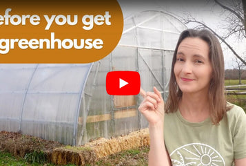 Natalie Lussier`s Commercial Greenhouse