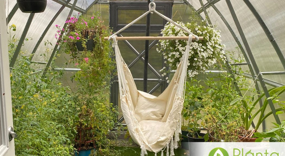 Frost-sensitive plants can thrive earlier