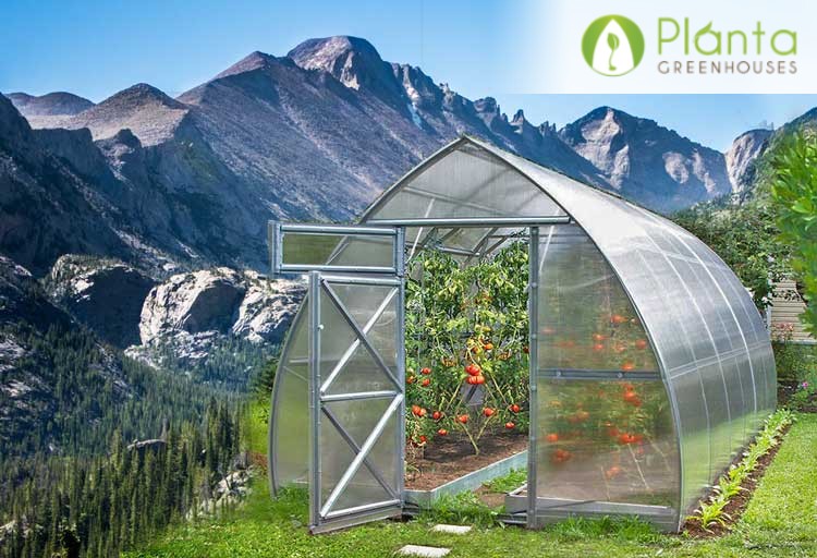 How To Grow a Thriving Greenhouse In Colorado Climate (High Altitude W