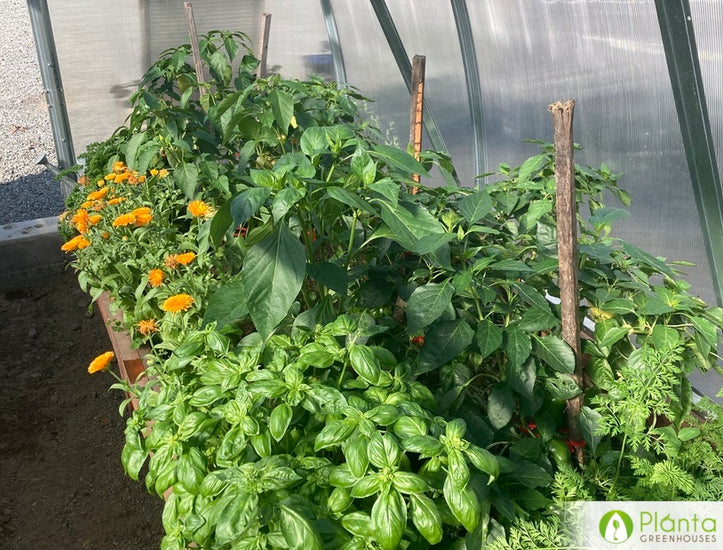 Le plus adapté à l'hiver québécois