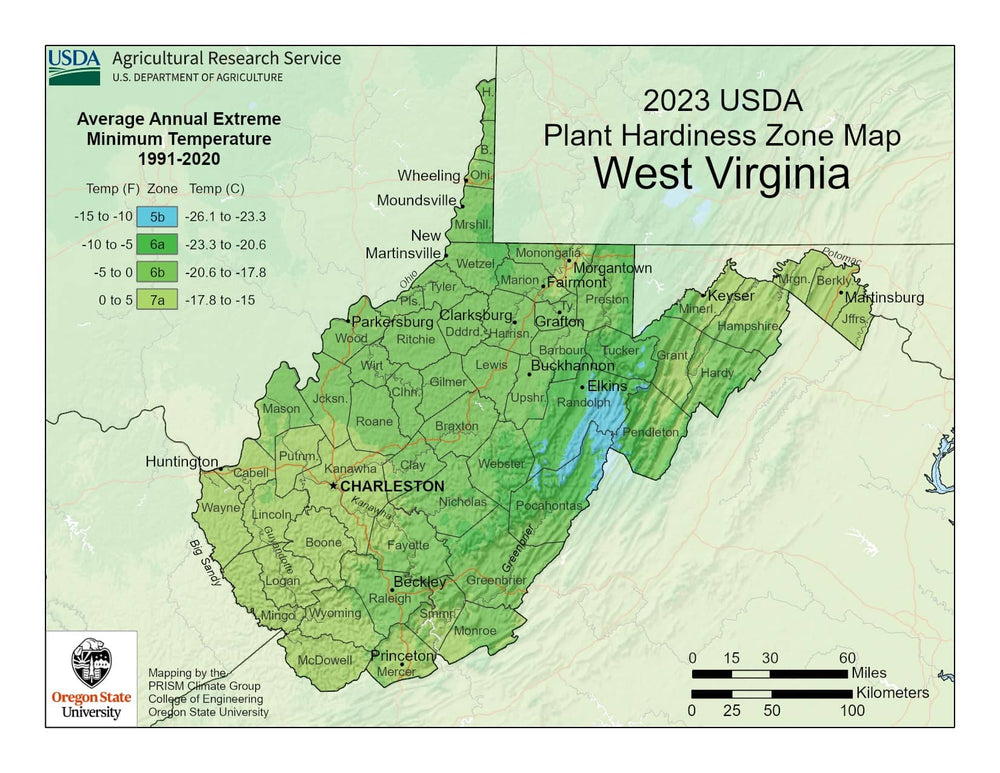 Virginia Occidental