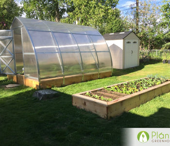 I'm so impressed at how my greenhouse is