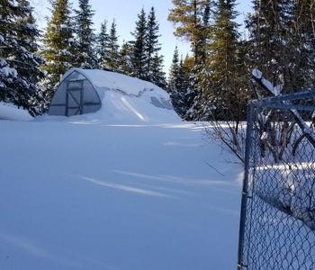 Bigger is Better...glad we went for the larger size greenhouse