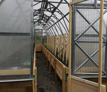 Less watering and weeding