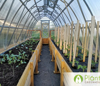Less watering and weeding
