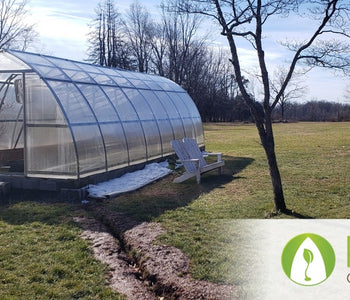 From Heirloom Seeds to Winter Greens