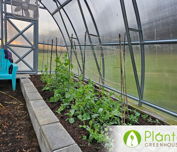 From Heirloom Seeds to Winter Greens