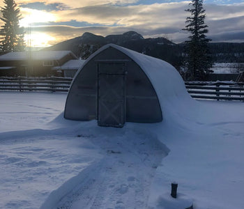 Obviamente es fuerte y está bien diseñado.