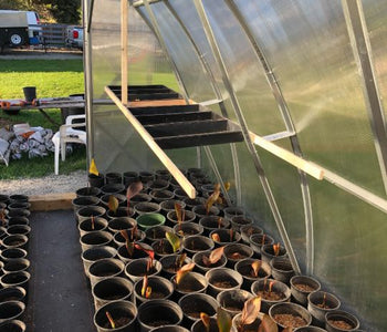 Obviamente es fuerte y está bien diseñado.