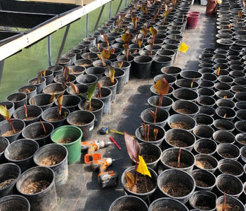 Obviamente es fuerte y está bien diseñado.