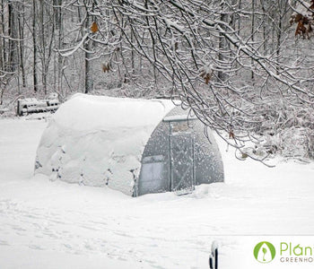 Sitting in my greenhouse just makes me smile