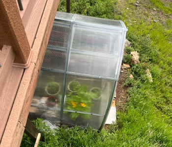 Embracing Cool Summer Nights with our Greenhouse
