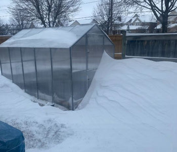 Year round growing season