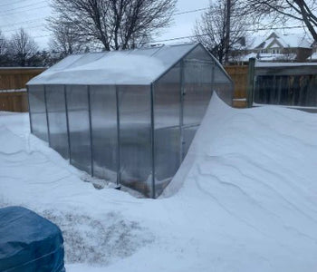 Year round growing season
