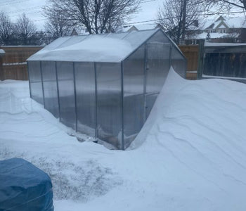 Year round growing season