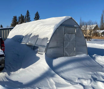 It kept the plants out of the wind and extended our season