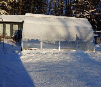 I love to go in the greenhouse when it is cold outside