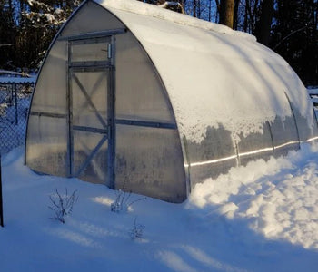 I love to go in the greenhouse when it is cold outside