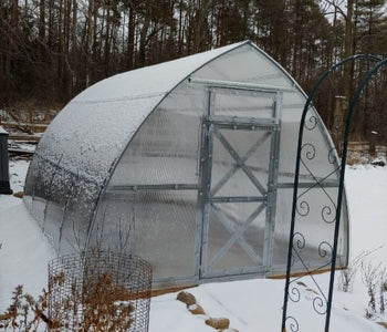 I love to go in the greenhouse when it is cold outside