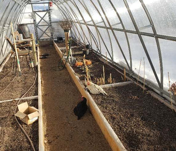 If gardening is your passion then make the investment!
