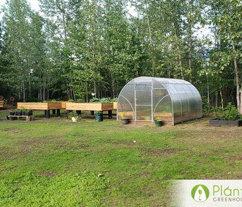 Greenhouse review from Tara