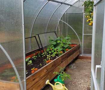 Greenhouse review from Tara