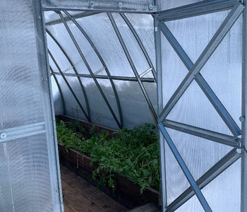 My growing (and enjoying) season does not seem to end