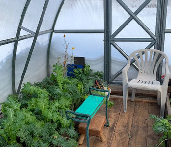 My growing (and enjoying) season does not seem to end