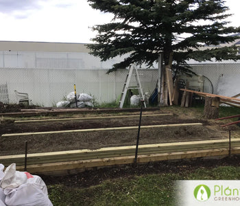Andy's Greenhouse in Alberta