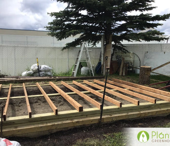 Andy's Greenhouse in Alberta