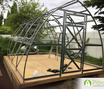 Andy's Greenhouse in Alberta