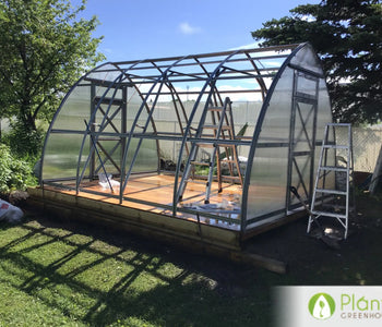 Andy's Greenhouse in Alberta