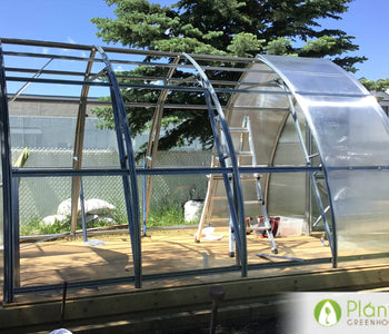 Andy's Greenhouse in Alberta