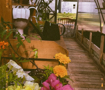 Abundancia de flores, hierbas y verduras.