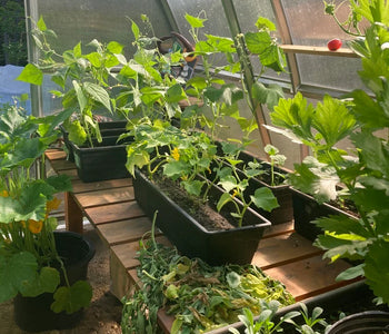 Le plus adapté à l'hiver québécois