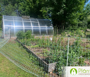 Extended springs and falls