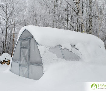 I have no worries about wind and heavy snowfall