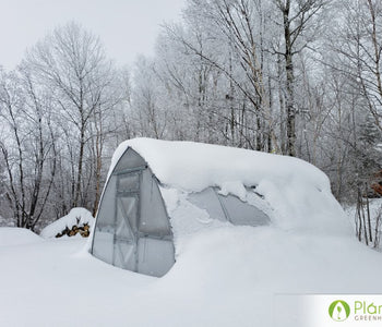 I have no worries about wind and heavy snowfall