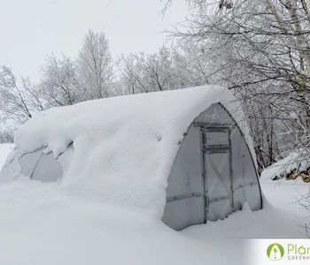 I have no worries about wind and heavy snowfall