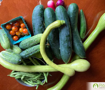 It extended our growing season by 3 1/2 months!