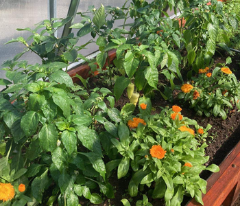 Le plus adapté à l'hiver québécois