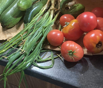 Le plus adapté à l'hiver québécois