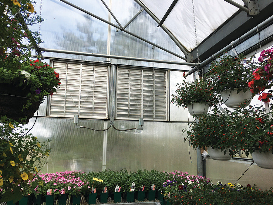 Greenhouse Power Shutter With Cord, Automatic, 16" x 16" Aluminum Single Panel