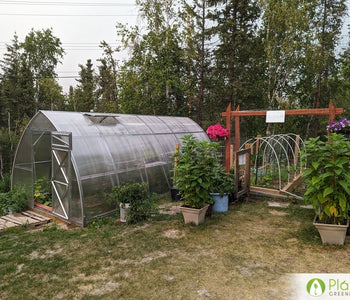 Un hogar para las verduras que aman el calor