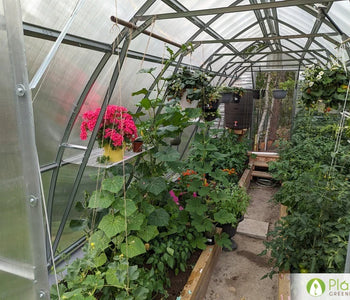 Un hogar para las verduras que aman el calor